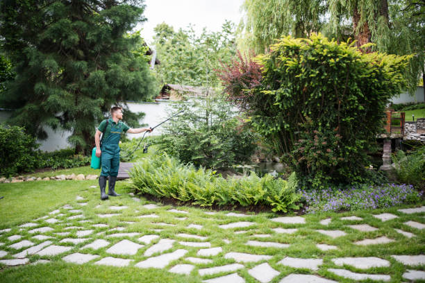 Best Pest Removal Services  in Mountain Park, GA