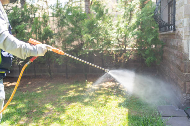 Best Affordable Pest Control Services  in Mountain Park, GA