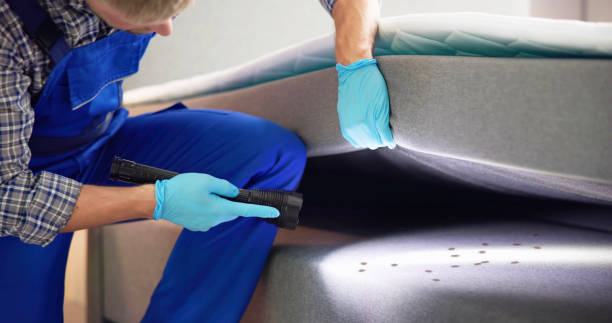 Best Best Pest Control Companies  in Mountain Park, GA