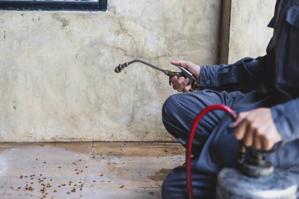 Best Rat Extermination Near Me  in Mountain Park, GA